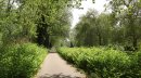 Le long du canal